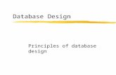 Database Design Principles of database design. Relational Models Relational databases are designed to provide efficient structures for transaction processing.