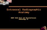 Extraoral Radiographic Anatomy DENT 5102 Oral and Maxillofacial Radiology II.