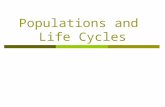 Populations and Life Cycles. What is a population?  Population – a group of the same species that occupies the same geographical space.
