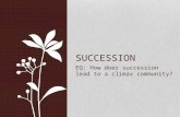 EQ: How does succession lead to a climax community? SUCCESSION.