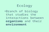 Ecology Branch of biology that studies the interactions between organisms and their environment.