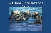 5-1 How Populations Grow. Three important characteristics of a population are its: Geographic Distribution DensityGrowth Rate Geographic distribution,