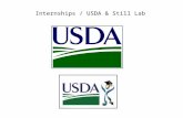 Internships / USDA & Still Lab. USDA probably has a job for every discipline.