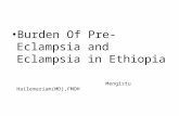 Burden Of Pre-Eclampsia and Eclampsia in Ethiopia Mengistu Hailemariam(MD),FMOH.