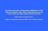 The Microeconomics of Household Collection of Wild Coffee in Ethiopia: Some Policy Implications for in-situ Conservation of Coffea arabica Genetic Diversity.