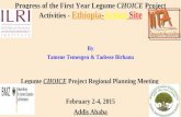 Progress of the First Year Legume CHOICE Project Activities - Ethiopia-Action Site By Tamene Temesgen & Tadesse Birhanu Legume CHOICE Project Regional.