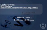Lecturer name: Dr. Ahmed M. Albarrag Lecture Title: Mycetoma and other Subcutaneous Mycoses (Musculoskeletal Block, Microbiology)