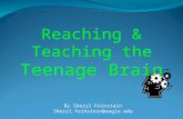By Sheryl Feinstein Sheryl.feinstein@augie.edu Reaching & Teaching the Teenage Brain.