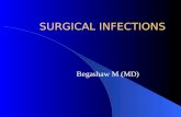 SURGICAL INFECTIONS Begashaw M (MD). Surgical infection Defined as an infection related to or complicating a surgical therapy and requiring surgical management.