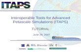 Interoperable Tools for Advanced Petascale Simulations (ITAPS) TUTORIAL June 29, 2007.