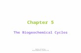 Botkin & Keller Environmental Science 5e Chapter 5 The Biogeochemical Cycles.