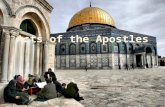 Structure The Preparation for the Christian Mission (Acts 1 – 2:13) The Mission In Jerusalem (Acts 2:14 – 8:3) The Mission in Judeo and Samaria (Acts.