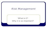 Risk Management What is it? Why it is so important? 1.