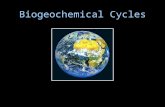 Biogeochemical Cycles. Something to think about… A handful of elements combine to form the building blocks of all known organisms. Organisms cannot manufacture.