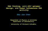 RNA folding, anti-HIV aptamer design, and human telomerase RNA activity Shi-Jie Chen Department of Physics & Astronomy Department of Biochemistry University.