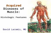 David Lacomis, MD Acquired Diseases of Muscle: Histologic Features.