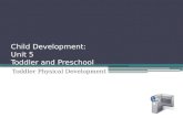 Child Development: Unit 5 Toddler and Preschool Toddler Physical Development.