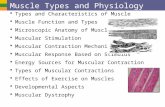 Muscle Types and Physiology  Types and Characteristics of Muscle  Muscle Function and Types  Microscopic Anatomy of Muscle  Muscular Stimulation