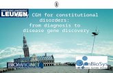 Array CGH for constitutional disorders: from diagnosis to disease gene discovery Computational Systems Biology.