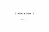 Endocrine 3 Part 2. Acute complications of DM Hypoglycemia Diabetic Ketoacidosis Hyperglycemia Hyperosmolar Non-ketonic Syndrome.