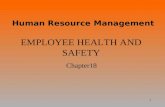 1 EMPLOYEE HEALTH AND SAFETY Chapter18 Human Resource Management.