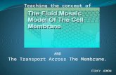Teaching the concept of AND The Transport Across The Membrane. FIRCY JEMON.