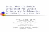 Social Work Curriculum Development for Service Delivery and Collaborative Multidisciplinary Practice Elaine T. Jurkowski, MSW, PhD School of Social Work.