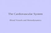 The Cardiovascular System Blood Vessels and Hemodynamics.