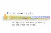 Photosynthesis All organisms use energy to carry out the functions of life.