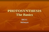 PHOTOSYNTHESIS The Basics BIO11McIntyre. Photosynthesis Photosynthesis is the process by which carbohydrates (an organic nutrient) are synthesized from.