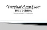 Reactants  Products Substrates  Products.  Title  Date  U3-15.