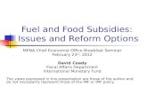 Fuel and Food Subsidies: Issues and Reform Options MENA Chief Economist Office Breakfast Seminar February 23 rd, 2012 David Coady Fiscal Affairs Department.