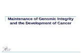 Maintenance of Genomic Integrity and the Development of Cancer.