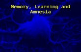 Memory, Learning and Amnesia. Memory = site and/or process where knowledge and experiences are stored. Learning = the process of committing new knowledge.