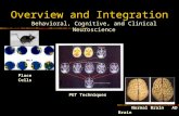 Overview and Integration Behavioral, Cognitive, and Clinical Neuroscience Normal Brain AD Brain Place Cells PET Techniques.