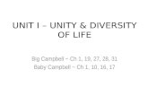 UNIT I – UNITY & DIVERSITY OF LIFE Big Campbell ~ Ch 1, 19, 27, 28, 31 Baby Campbell ~ Ch 1, 10, 16, 17.