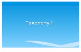 Taxonomy!!.  Taxonomy!  Branch of biology used to classify organisms according to their characteristic similarities  Consider phylogeny (evolutionary.