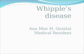 Whipple’s disease Ana Mae H. Quintal Medical Resident.