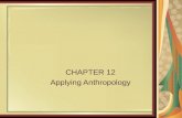 CHAPTER 12 Applying Anthropology. Dimensions of American anthropology: Academic or theoretical anthropology Applied anthropology Applied anthropology.