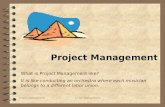 Project managementIS for Management1 Project Management What is Project Management like? It is like conducting an orchestra where each musician belongs.