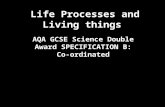 Life Processes and Living things AQA GCSE Science Double Award SPECIFICATION B: Co- ordinated.