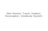 Skin Senses: Touch, Haptics, Nociception, Vestibular System.