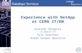 CERN IT Department CH-1211 Geneva 23 Switzerland  t Experience with NetApp at CERN IT/DB Giacomo Tenaglia on behalf of Eric Grancher Ruben.