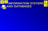 INFORMATION SYSTEMS AND DATABASES. Information Systems And Databases Information Systems Examples Of Database Information Systems Basic Data Organization.