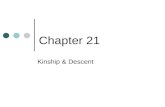 Chapter 21 Kinship & Descent. Chapter Preview What Is Kinship? What Are Descent Groups? What Functions Do Kin-ordered Groups Serve?