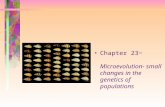 Chapter 23~ Microevolution- small changes in the genetics of populations.