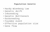 Population Genetic Hardy-Wienberg Law Genetic drift Inbreeding Genetic Bottleneck Outbreeding Founder event Effective population size Gene flow.