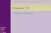 Chapter 23 Fatty Acid Metabolism Denniston Topping Caret 5 th Edition Copyright  The McGraw-Hill Companies, Inc. Permission required for reproduction.