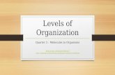Levels of Organization Quarter 2 : Molecules to Organisms .