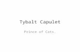 Tybalt Capulet Prince of Cats.. Importance of Tybalt in the film: Tybalt ‘Prince of Cats’ (Juliets Cousin) he is the leader of the younger generation.